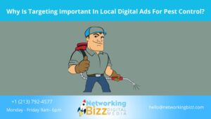 Why Is Targeting Important In Local Digital Ads For Pest Control?
